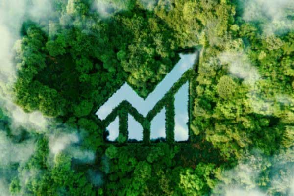 联邦住房金融局局长：特朗普一两个月内将决定房利美和房地美IPO事宜